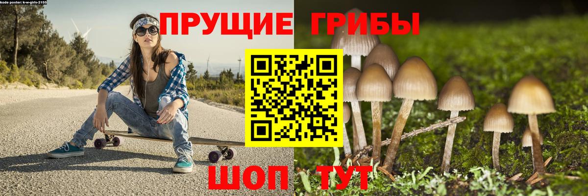 Шарыпово  Галлюциногенные грибы Cubensis  Вход с VPN 